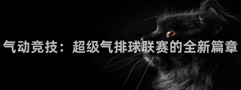 气动竞技：超级气排球联赛的全新篇章
