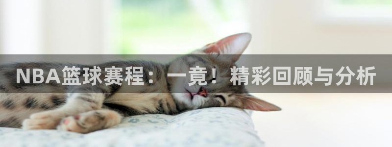  NBA篮球赛程：一竟！精彩回顾与分析