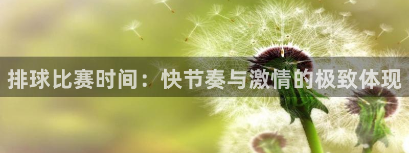 排球比赛时间：快节奏与激情的极致体现