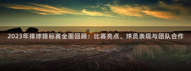 2023年排球锦标赛全面回顾：比赛亮