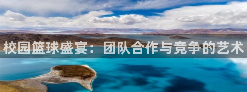 校园篮球盛宴：团队合作与竞争的艺术