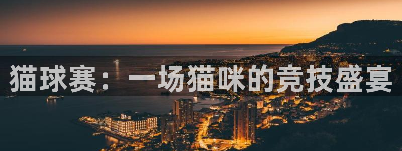 猫球赛：一场猫咪的竞技盛宴