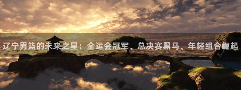 辽宁男篮的未来之星：全运会冠军、总决