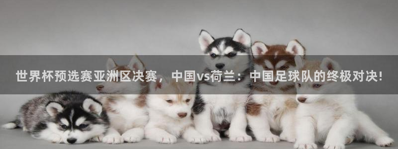 易游体育平台下载app