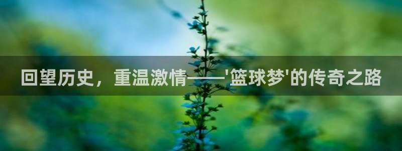 易游上市：回望历史，重温激情——\'