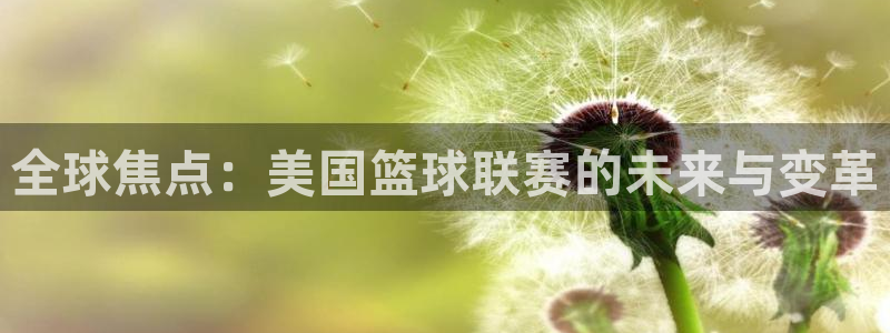易游是干嘛的：全球焦点：美国篮球联赛