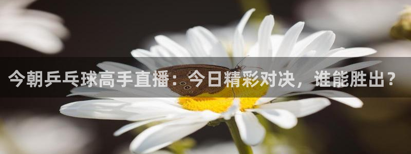 易游商城app下载：今朝乒乓球高手直