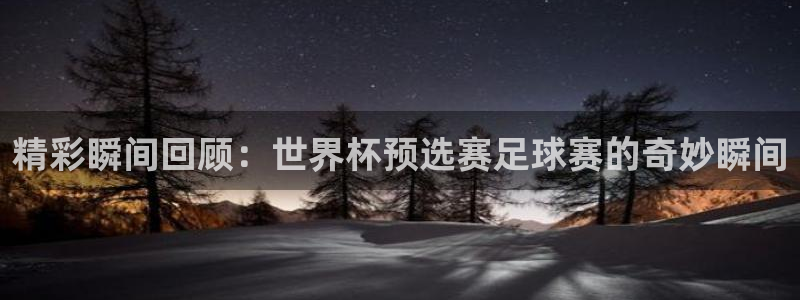 易游网站多少：精彩瞬间回顾：世界杯预