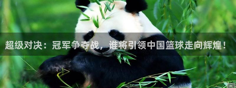 易游体育APP最新版本更新内容：超级