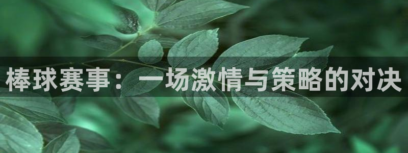 易游体育app官网菲哥下载安装：棒球