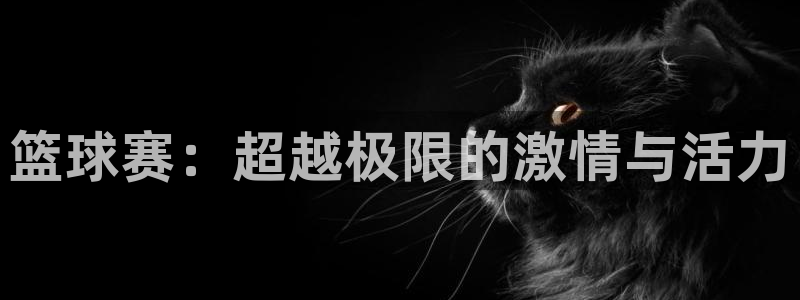易游体育平台下载官网手机版：篮球赛：