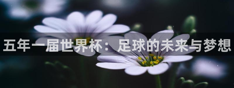 易游平台充值后没有到账：五年一届世界