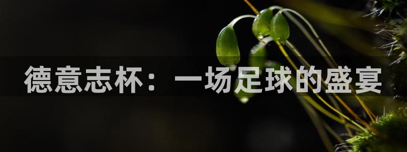 易游验证官网：德意志杯：一场足球的盛宴
