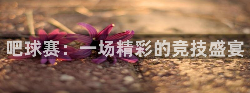  易游体育网页版：吧球赛：一场精彩的竞技盛宴
